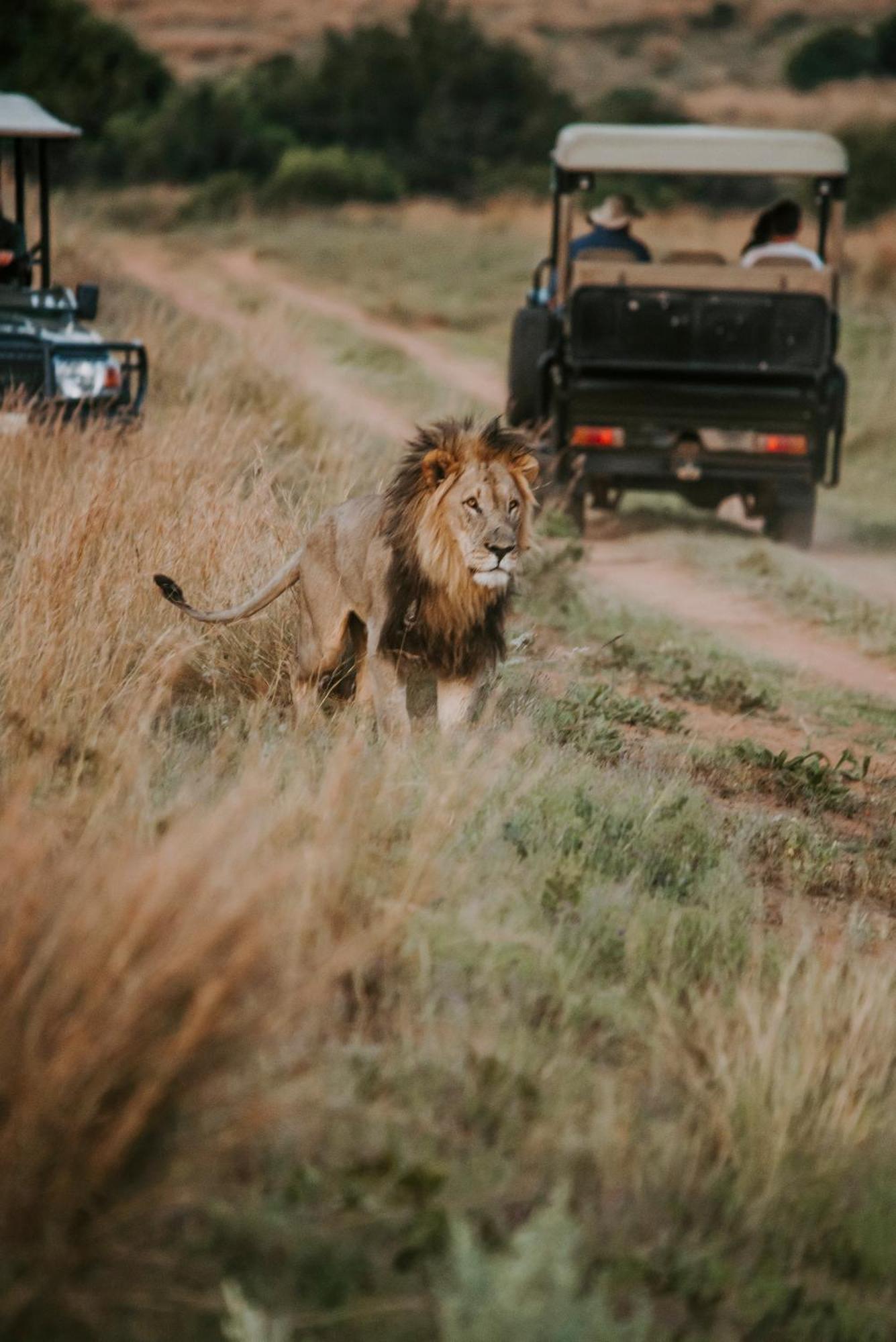 Matingwe Lodge Hartbeestfontein 外观 照片