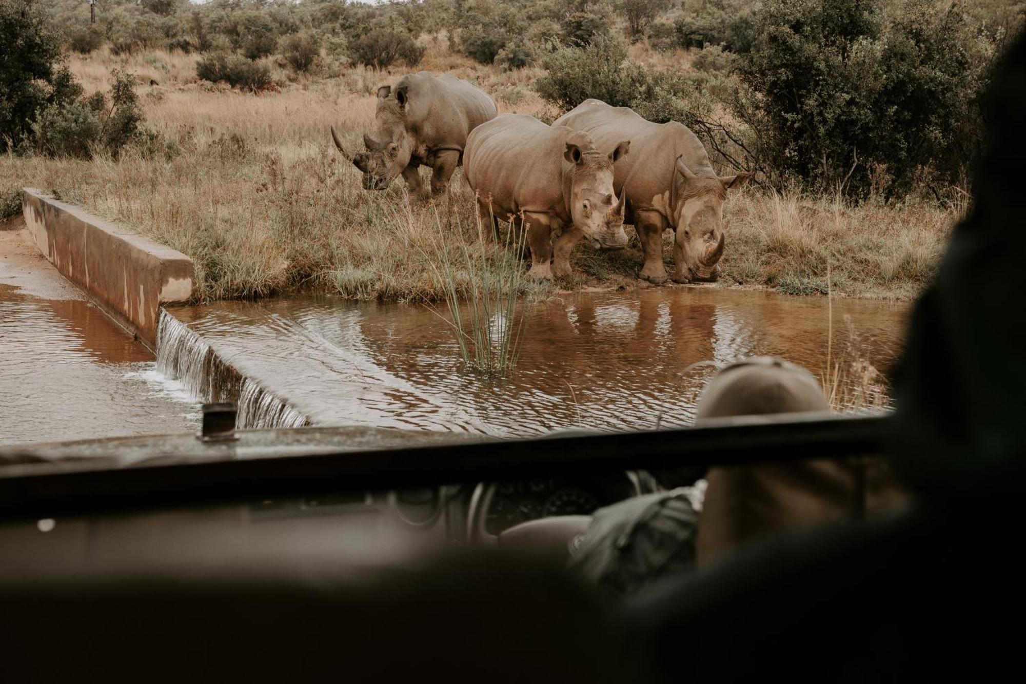 Matingwe Lodge Hartbeestfontein 外观 照片
