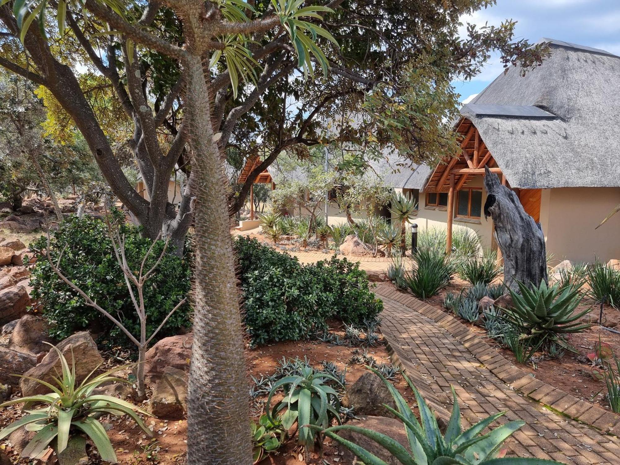 Matingwe Lodge Hartbeestfontein 外观 照片